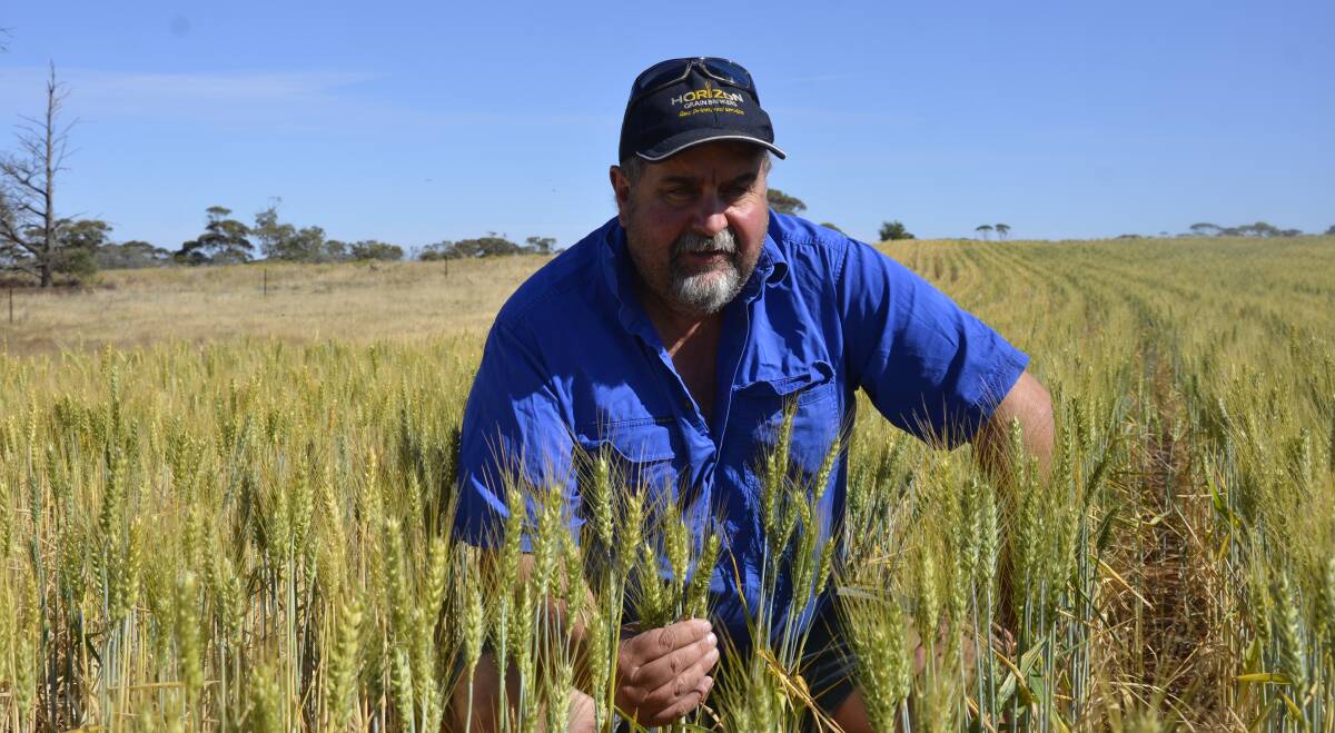 COST-SAVING: Robert Matthews, Meringur, Vic, has enjoyed a significant reduction in input costs since switching to biological fertiliser products.