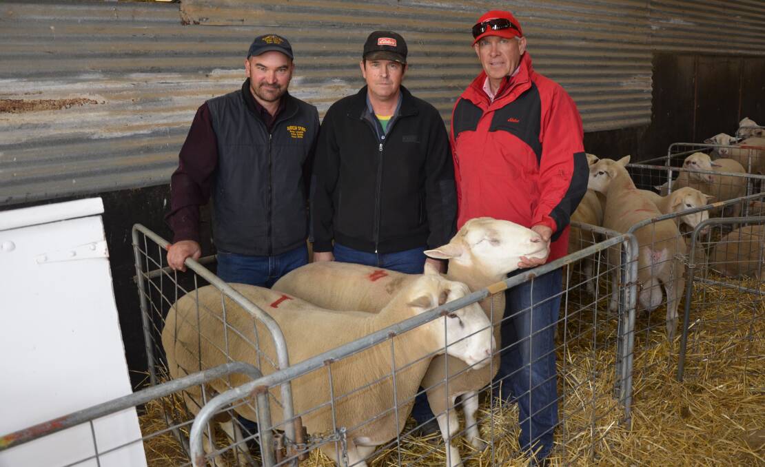 PRIME PAIR: Duenclin principal Clinton Huxtable, buyer Peter Leedham and Elders Karoonda's Chris Muenster with two of the three $1600 sale toppers.