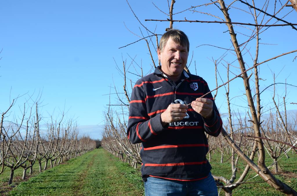 CHANGES: Michael Trautwein says Quality Fruit Marketing is implementing and investigating more changes in light of SA's high electricity prices.