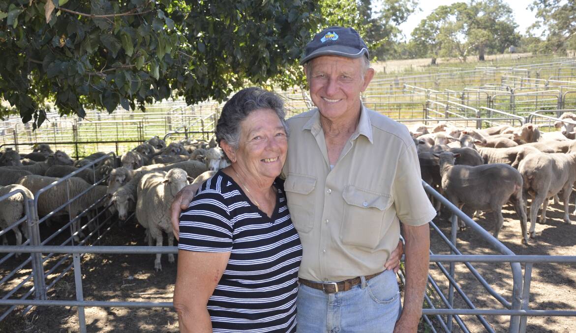 MARKET DAY: Marjorie and Leo Schubert, Bletchley, were selling crossbred lambs and casting an eye over the ewes for sale.