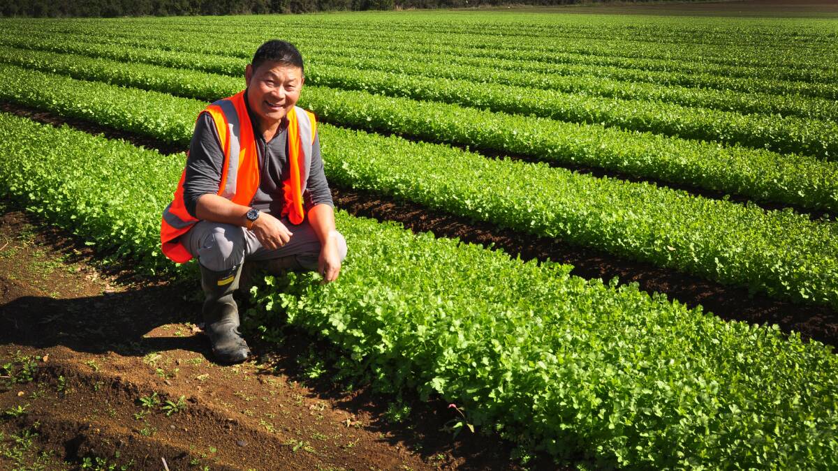 Vegetable grower Mr Allan Fong provides niche products to a “foodie” market, and takes his product stewardship very seriously.