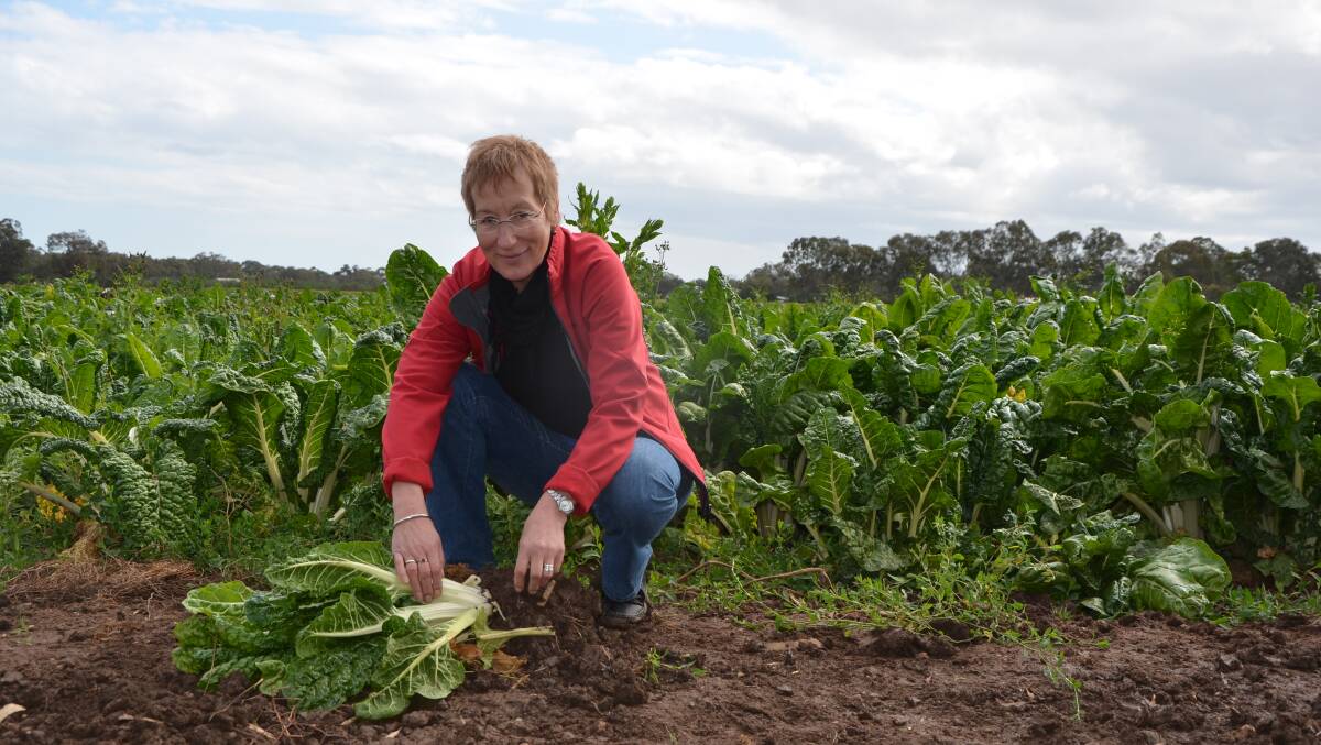 VITAL TESTING: Soil scientist Doris Blaesing said growers needed to know what was in the soil, and what they had lost or gained, through regular soil testing.