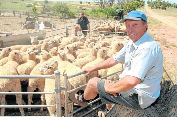 NEW ENTITY: SA Lamb Development Team chairman Glen Tilley says there is a need for a more specialised peak body for the lamb industry. 