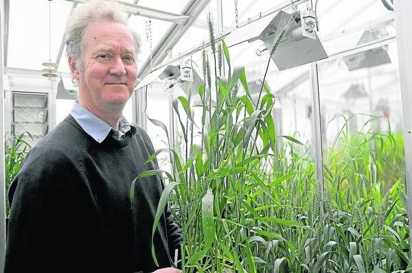 LOOKING FORWARD: Australian Centre for Plant Functional Genomics chief executive officer Peter Langridge is optimistic that growing global demand for food can be met through innovation and collaboration, despite the challenges.