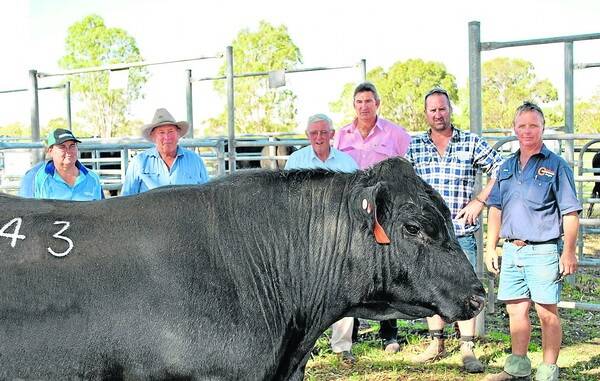 BALANCED FIGURES: Pictured with the Coolana $12,000 sale-topper are Jo and Stuart Levick, property managers Clover Ridge; livestock adviser for Clover Ridge Malcolm McDonald; Elders Keith buying agent Laryn Gogel; buyer Greg Fisher, Clover Ridge, Marcollat; and Coolana principal Mark Gubbins.