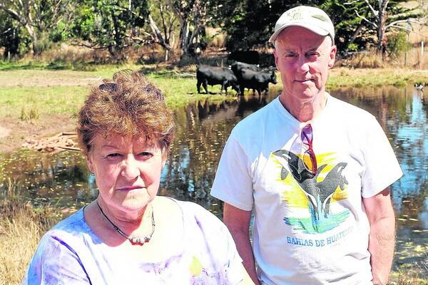 LAND GRAB: Mount Barker Angus breeder Carol Bailey was elected to the District Council of Mount Barker as a result of her opposition to the town's expansion. Neighbour Brian Calvert has joined her in protesting against the development.