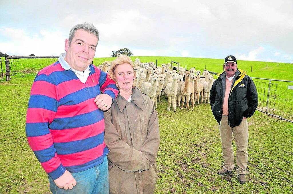 EXCITING VENTURE: Fleurieu Prime Alpaca s Perry and Sarah Wheeler, Prados, Victor Harbor, and Chris Williams, Ambersun, Mount Compass, with some of the alpaca meat herd .