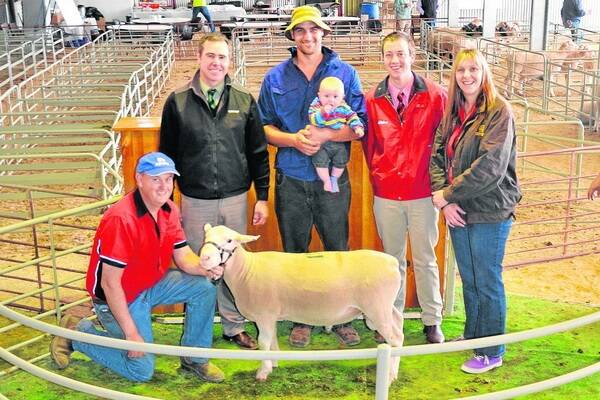 LOYALTY REWARDED: Chesson Park principal Ian Cass holds his stud's $1500 top-price ram for Landmark's Richard Miller, loyal regular buyer Bryan Hampel and his son Caleb, Nadda, Elders' Ronnie Dix, and Ian's wife Helen.