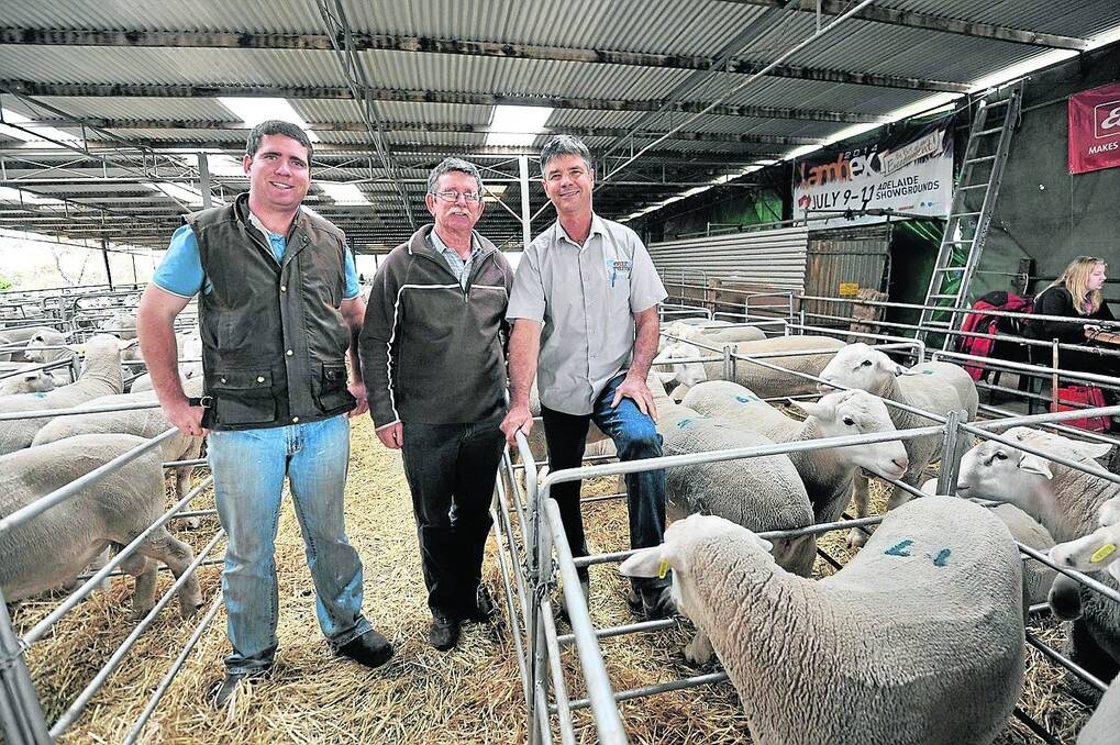 TOP LINE: Buyers of the $1700 top-price, ram Dom and Gerald Leach, Walpeup, Vic, with Illoura stud's Allan Piggott.