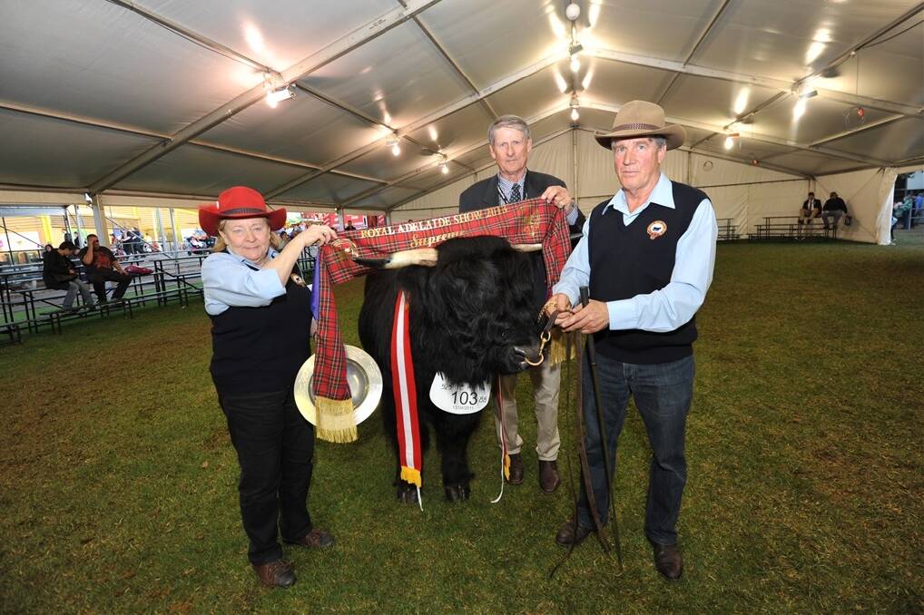 CHAMPION CHARLES: RA&HS of SA Council vice chairman Keith McFarlane (centre), Tailem Bend, congratulates Helena Klemich and Roland Cleggett on winning Supreme Champion Highland Exhibit with their bull Charles of Lochwinnoch.