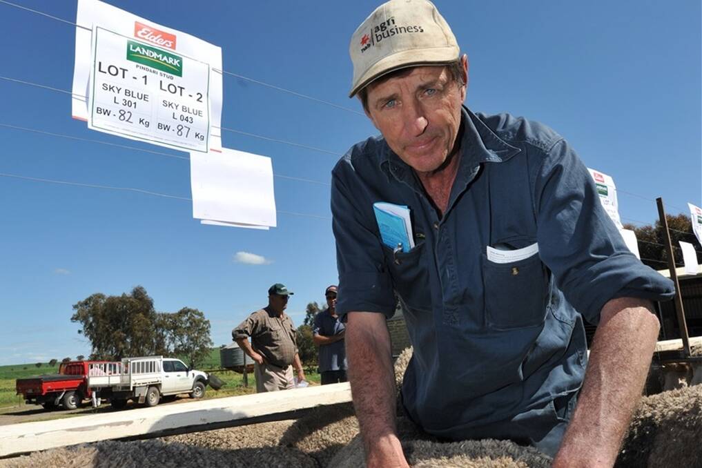 WOOL CONFIDENCE:  Ian Farley, from Jabuk, was among the volume buyers at Pindari Merino sale on Tuesday, buying five rams to a top of $1000. He has been a client of the stud's for close to 25 years and uses the rams to breed good Merino ewes. "I've got confidence in the whole sheep industry," he said. "We have got to have a good Merino flock to breed good first cross ewes which is our main aim,"