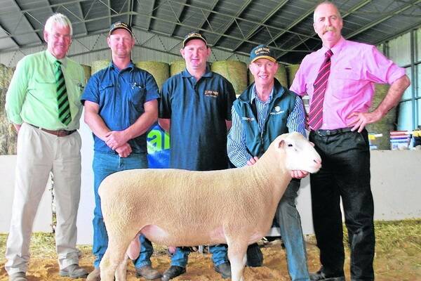 HAMPEL'S TRIPLE TREAT: Pictured with the $2100 top-price ram at the Ulandi Park ram sale are Landmark's Greg Beaton; buyers Greg and Neil Hampel, Marrabel; Ulandi principal Clayton Rowett, holding the ram; and Elders auctioneer Tom Penna. The Hampels have now bought the top-price flock ram at Ulandi for the past three years.