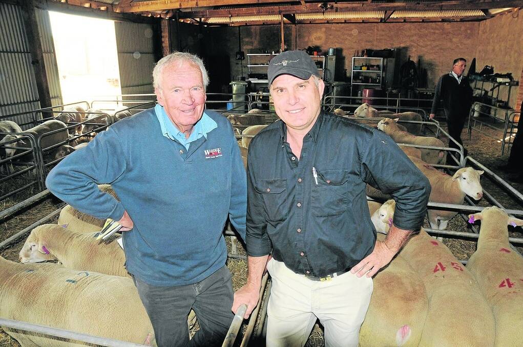 CLIENT CALL: Trevor Cleland, Wardle Co, Curramulka, bought 15 rams on behalf of clients. Mr Cleland, who has been buying rams at Rilera for 18 years, is pictured with stud principal David Langford, Arthurton.