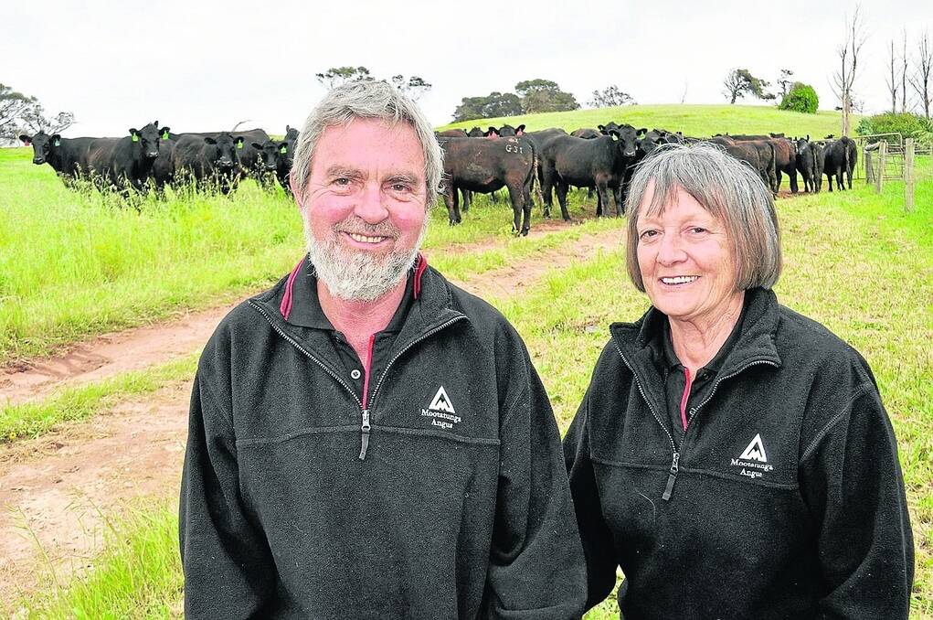 SWANSONG: John Brook and Merilyn Paxton, Mootatunga Angus stud, Mount Benson, will disperse their stud and commercial herds on November 25, together with their last draft of spring 2012-drop bulls.