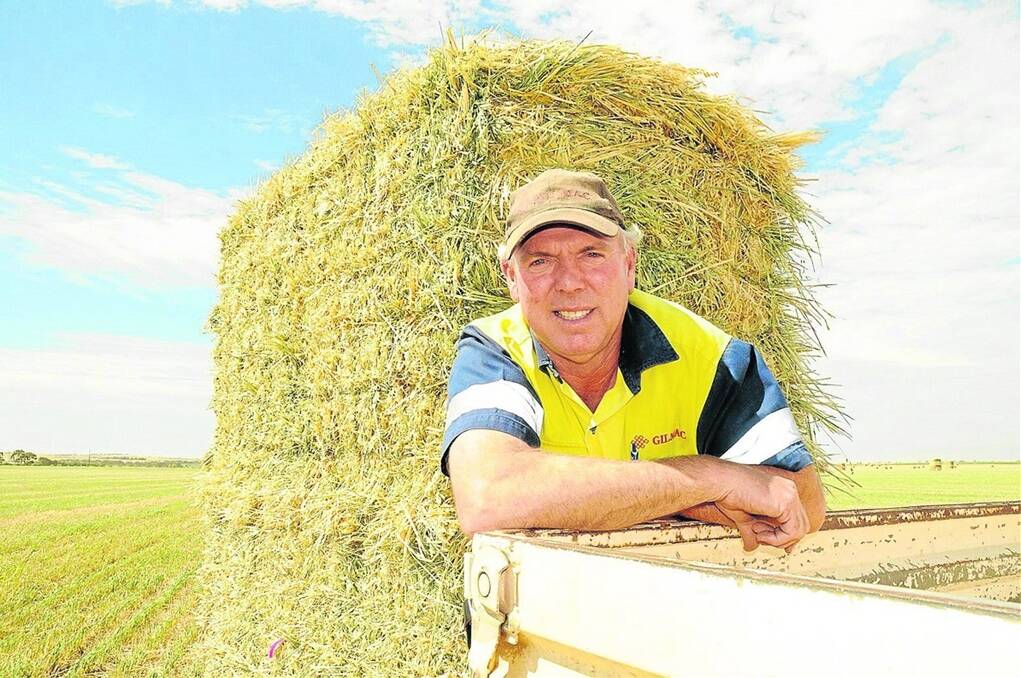 HAY HIGH: Gilmac site manager Mark Heaslip, Balaklava, said hay yields were looking very good. "It's been a high rainfall year and the crops have been reasonably high yielding," he said.