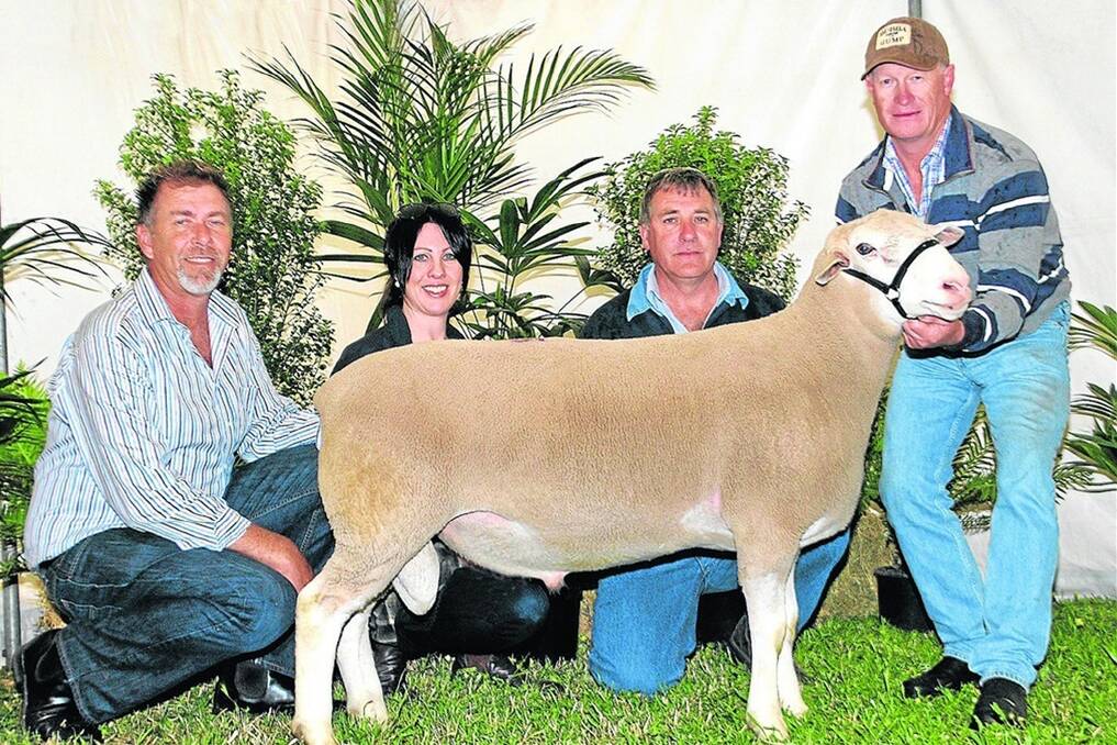 PARTNERS IN PRIME: Pictured with the $16,000 top-price ram at Detpa Grove are stud principals David and Michelle Pipkorn, and the two purchasers in partnership  Steve Funke, Bundara Downs, Bordertown, and Ian Gilmore, Tattykeel, Oberon, NSW.