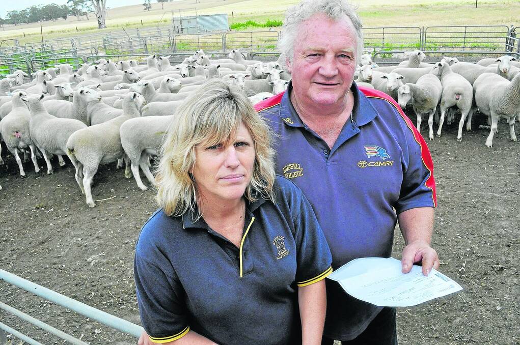 RELIEVED: Julie and Ian Pfeiffer, Burwood stud, Bordertown, have had their flock quarantined for the past three months under suspicion of OJD but after being cleared last week want changes to the program to ensure others do not endure the financial losses and sense of isolation they have experienced.