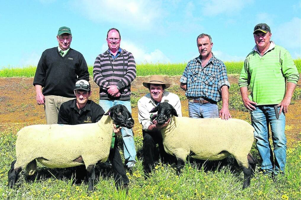 FROM EP (left): Pictured holding the rams are Mitchell and Mark Dennis, Kurrabi Park. They are with Landmark s John Harris; Nick Maddern, Yeelanna, who bought the $1200 ram topper; Chris Williams, Kimba, who bought the second top price ram; and Kym Villis, Landmark, Kimba.