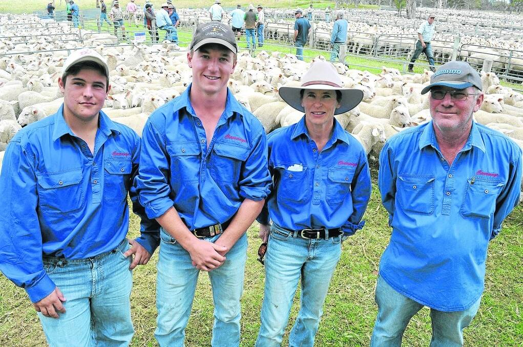 THE BEST: Cooranga vendors Nathan James, Alec Ross, Wendy James-Ross and Jim James in the top pen of ewe lambs before the sale. Their ewe lambs topped at $186 and wether lambs at $121.