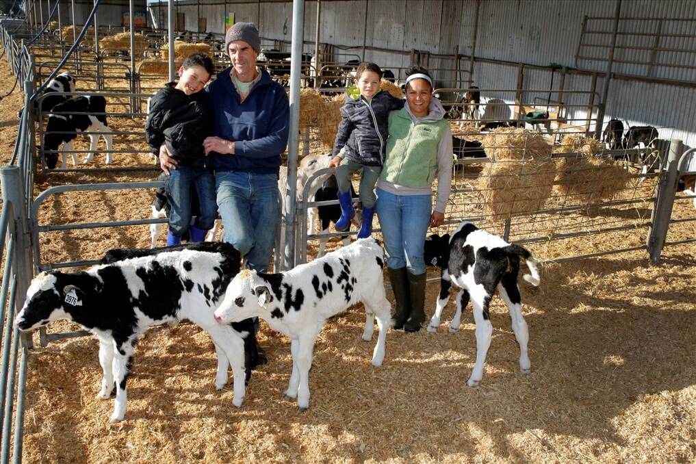 MG supplier concerns: Tadgh,7, Jock O'Keefe, Des, 5, and Giselle O'Keefe, and the new calfs. Picture: ROB GUNSTONE