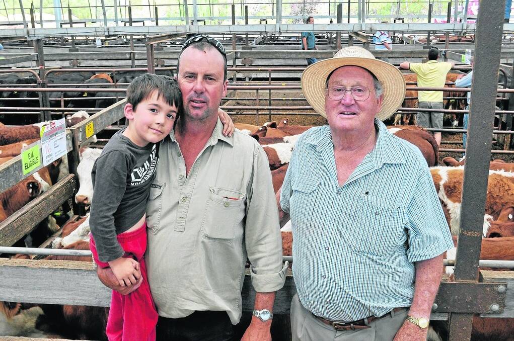 SIMMIE SUCCESS: Graham Johnson, pictured with his four-year-old son Mitchell and his father Brian, were pleased with the sale of 161 Simmental Hereford steers from their Ross Plains property at Biscuit Flat which averaged $705.