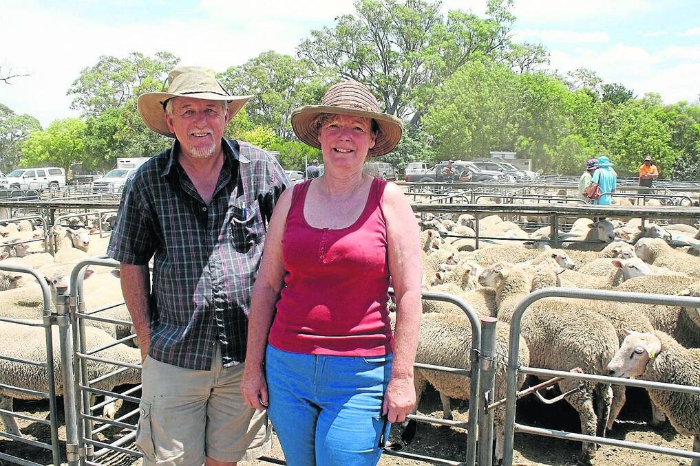 LAMB LOVERS: Greg Dew and Annette Cushion, Birdwood, sold their 21 Poll Dorset-cross lambs for $90 at the Mount Pleasant market.