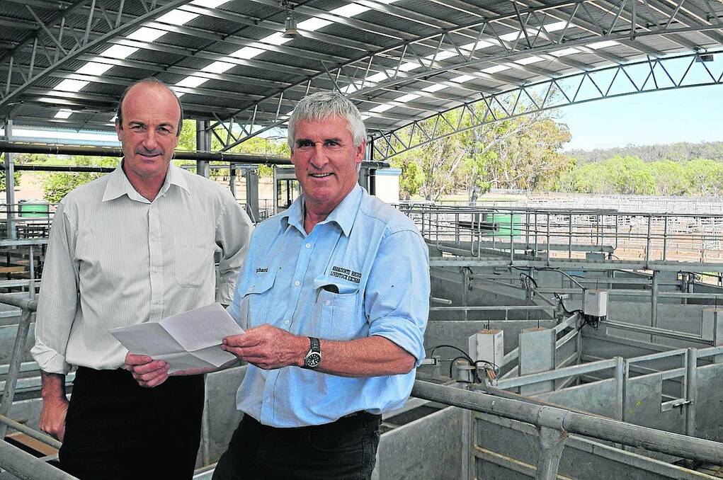 SAFE CHOICES: Naracoorte Lucindale Council director of planning Steve Bourne and Naracoorte Regional Livestock Exchange manager Richard James in the new weighbridge area which has sped up the post-sale weighing of cattle and improved staff safety.