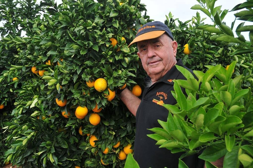 WAIKERIE citrus grower Mike Arnold believes local producers will be prepared to restore neglected parcels of land to full production so long as the price is right.