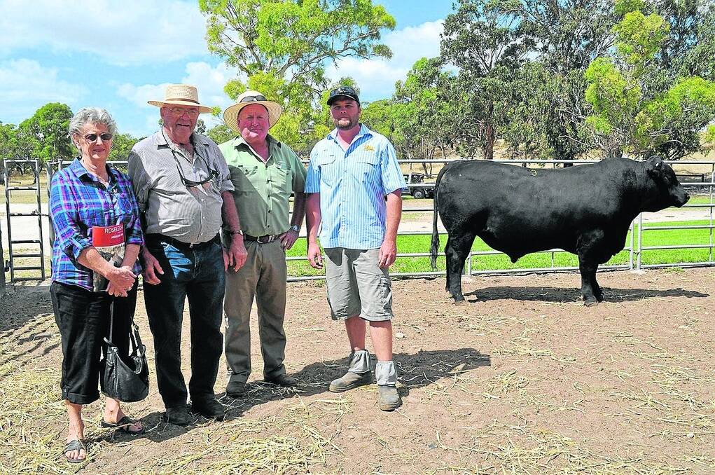 VIC BOUND: For the fourth year in a row Leah and Mark Jacob, Colac, Vic, and their agent Landmark Colac’s Roy Harlock were buying at Roseleigh’s annual sale, this year outlaying the $9000 top price. They are pictured with Roseleigh stud co-principal Mat Cowley and the sale topper.