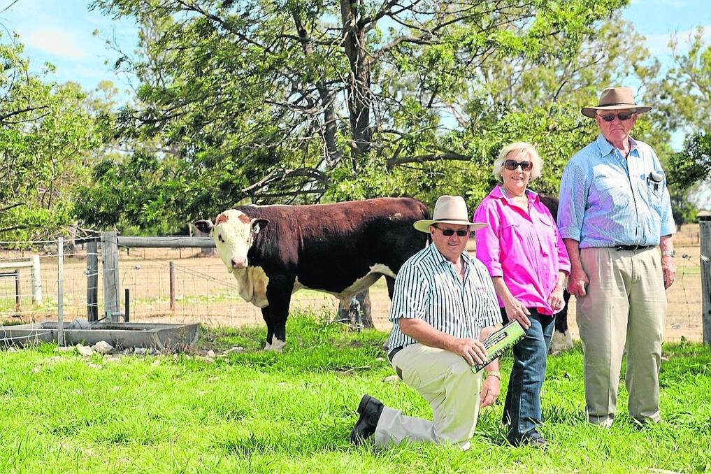 NSW BUYERS: Warrensville Aberdeen H22 topped Warrensville’s sale at $7000, paid by NSW’s Diana and Alex Cowlishaw, Wooling Pastoral Co, Crookwell, pictured with Warrensville principal Chris Steer (kneeling).