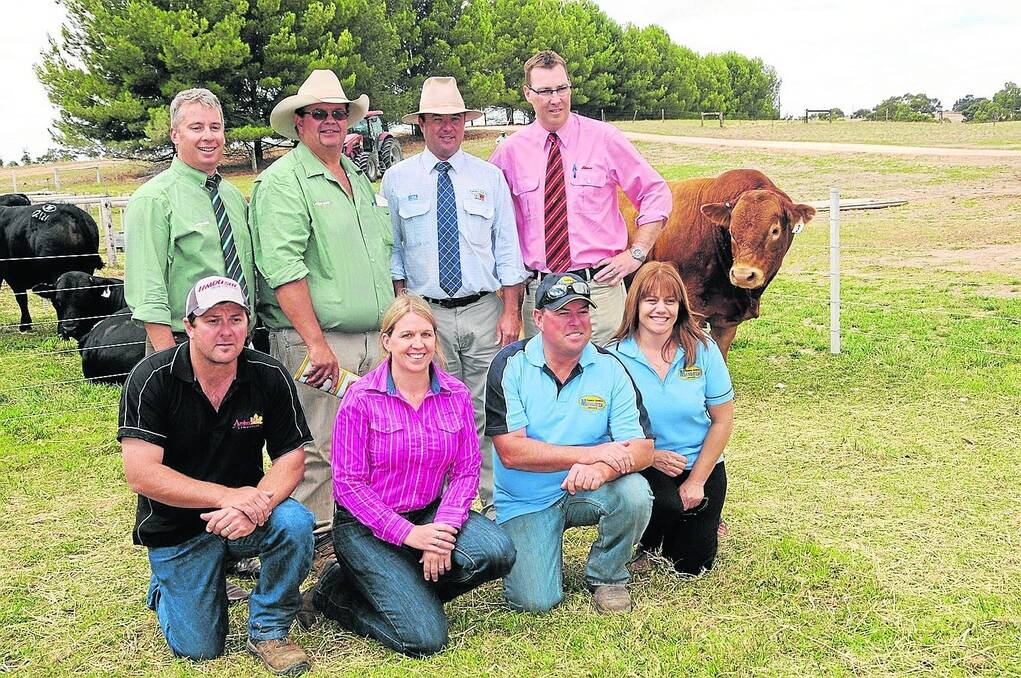 FORMIDABLE TEAM: Pictured with the $16,000 top price bull are (back) Landmark stud stock’s Gordon Wood, Landmark Armidale’s Tim Bayliss, Spence Dix & Co director Jono Spence and Elders stud stock’s Ross Milne. In front are joint buyers Ken and Kirsten Bisley, Amber Park Limousins, Wingham, NSW and Mandayen’s Damian and Mandy Gommers.