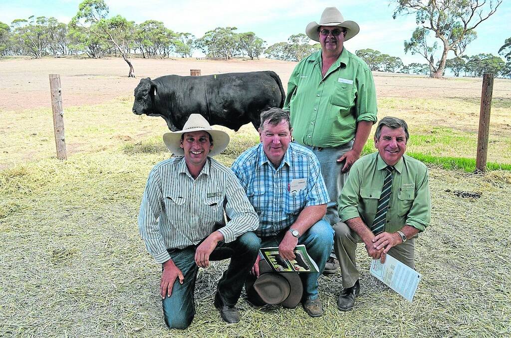 TOP BULL: Dick Whale, Wangaratta, Vic, who purchased the top-price $8000 Maryvale Hammertime H300 on behalf of his WA clients, is pictured second from left with Maryvale co-principal Matt Vogt; Landmark Armidale’s Tim Bayliss; and the Landmark AuctionsPlus coordinator and Landmark stud stock’s Malcolm Scroop.