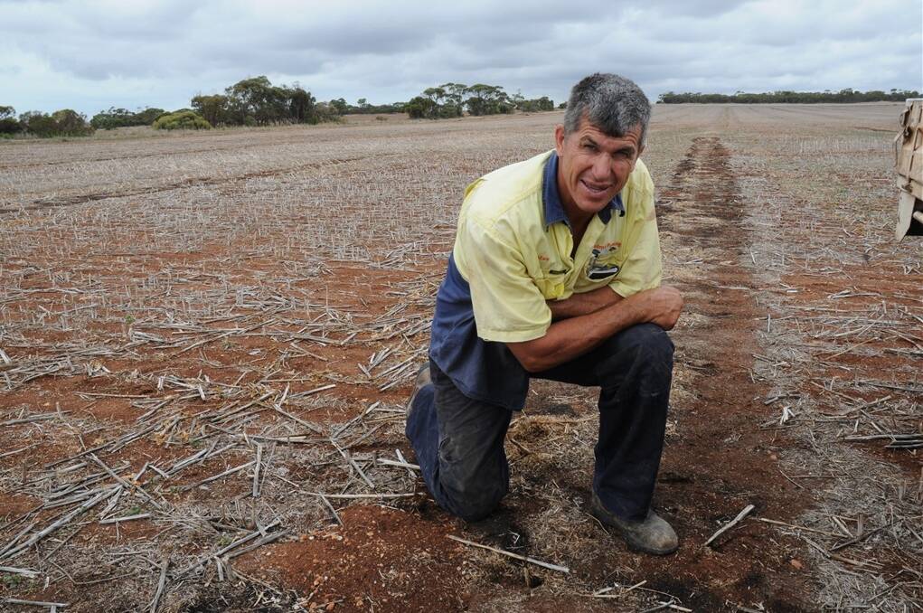 YORKE Peninsula farmer Max Young has been keeping an eye on mice numbers since harvest. "Everybody over this way has got mice out in their paddocks now, and it's just a matter of being able to get bait," he said.