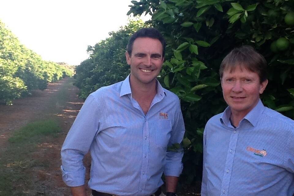 Citrus Australia director Ben Cant and market development manager Andrew Harty are optimistic about the future of Australian citrus exports.