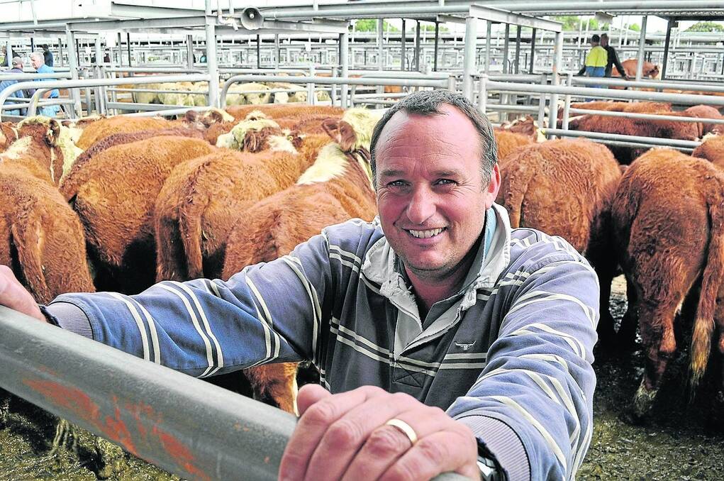GOOD DECISION: Roger Hunt, Warreanga, Donovans, was thrilled with prices for his 58 black baldy and Hereford steers which sold to a $820 high. Warreanga also topped the Hereford run with 19, 400kg Hereford steers making $795. He said it was a last-minute decision by his agent Sam O’Connor to send them to the store sale instead of the Wednesday prime market, and was “much better than he thought.”