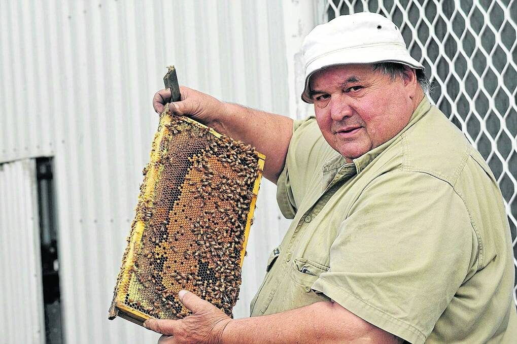STUNG: Beekeeper Barry Pobke, Cooke Plains, would like to see better support for bee biosecurity from the federal government.