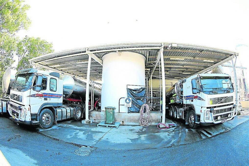 PREMIUM DRIVE: Bulk milk tankers unloading in the milk receivals area at Norco’s Raleigh milk factory, NSW. Milk from the Clearys’ farm is transported in these tankers. Norco buys all of their milk, at a premium.