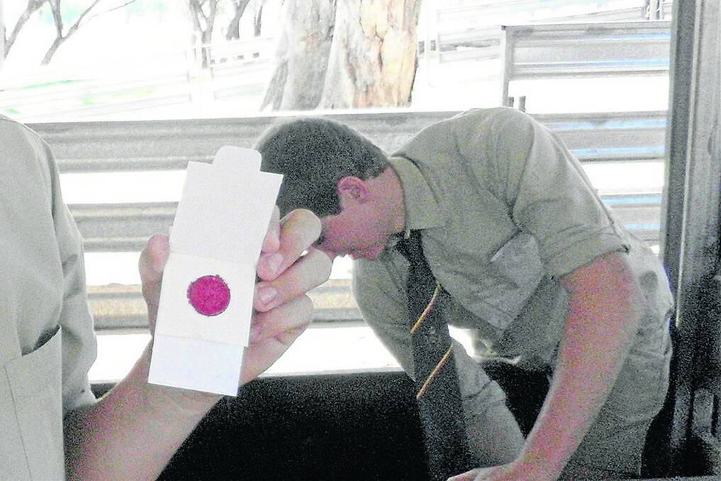 SAMPLE TESTING: Students from Farrer High School, NSW,  collect a blood sample for parentage testing using one of the tests developed by the Sheep CRC.