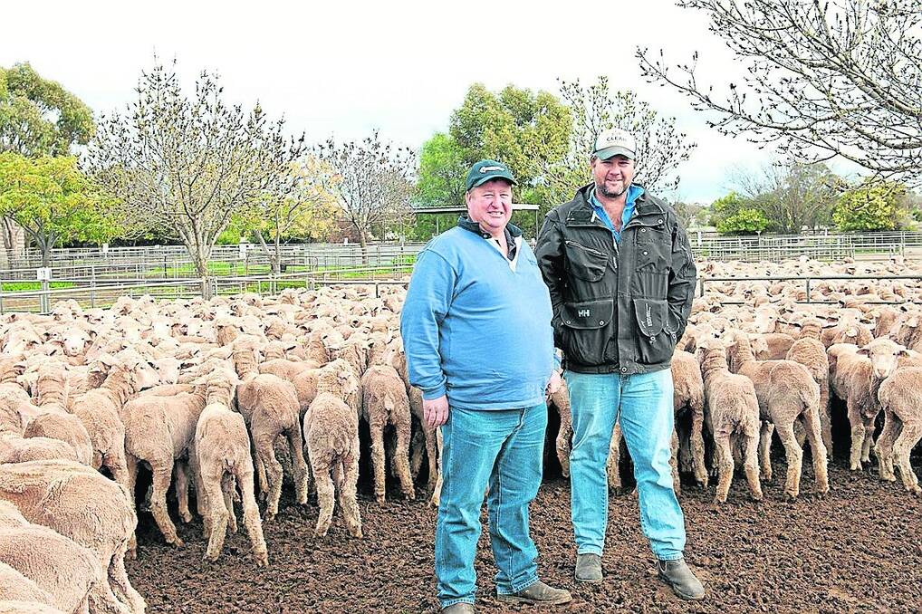 <strong>WETHER BUYS:</strong> Simon Pocock, Lameroo, pictured on the right with SAL agent Darryl Napper, Bordertown, at Jamestown market last Thursday. Simon purchased the seconds of AT&PA McBride’s wethers in from North Well Station. The September 2013-drop, May shorn, wethers were $75. Picture: Molly Noo
