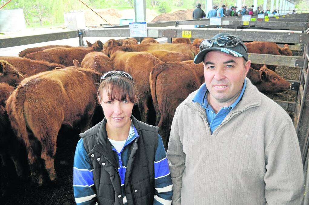 VIC REDS: Renee and Corey Shrive, Glenbrae, Douglas, Vic, sold 35 March 2013-drop Red Angus cross steers and heifers. Their 20 heifers topped at $630 and averaged $604. They also sold 10 steers 372kg at $750.