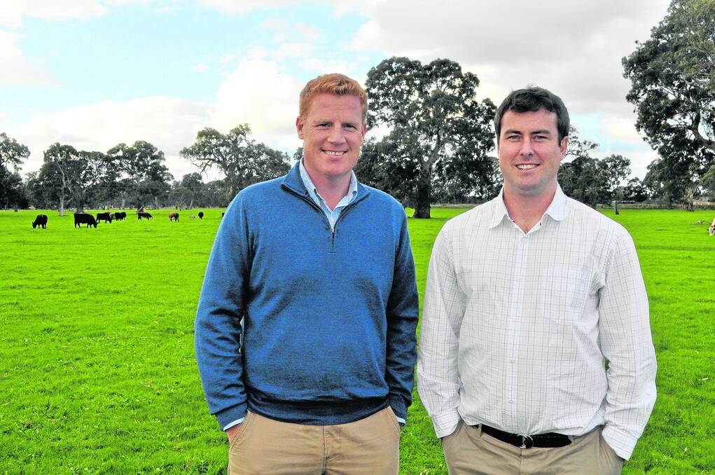 <strong>SHE’LL BE RIGHT:</strong> Rabobank Food & Agribusiness Research head of Americas Bill Cordingley and Rabobank FAR animal proteins analyst Matt Costello are optimistic about price rises for Australian beef.