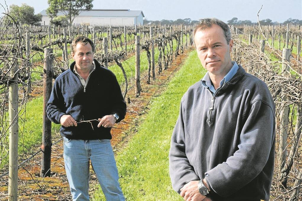 <strong>PRODUCTION PERIL:</strong> Coonawarra viticulturist and grazier Stuart Sharman (right) and grapegrower and wine marketer Peter Balnaves hold grave concerns about how an industrialised gas mining sector can cohabit with clean, green and sustainable food and fibre production.