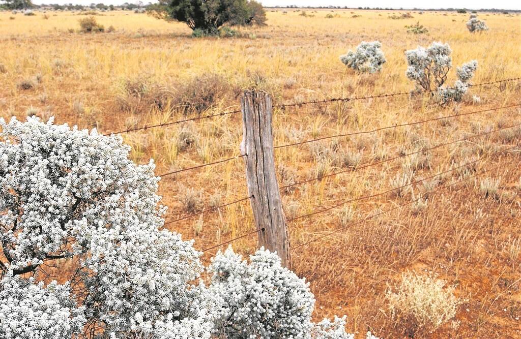 MUCH NEEDED: With areas of SA's pastoral country experiencing severe drought, news that the federal government will match the state government's $275,000 funding offer was welcomed by pastoralists.