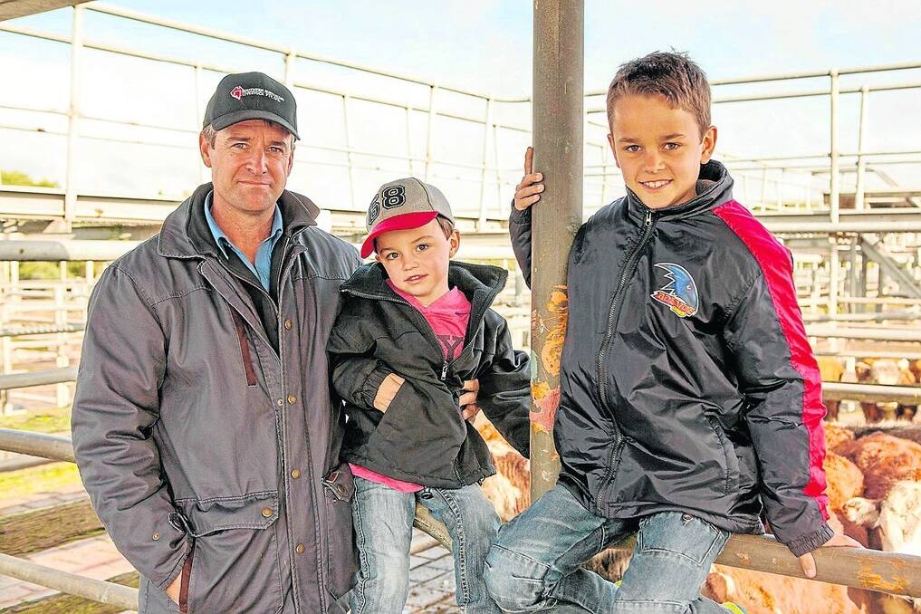 SPORTING CHANCE: Charlie and Lachie Nolan, helping dad, Southern Australian Livestock’s Will Nolan, Naracoorte, buy steers before heading to Adelaide to watch the Crows-Hawthorn clash at Adelaide Oval.