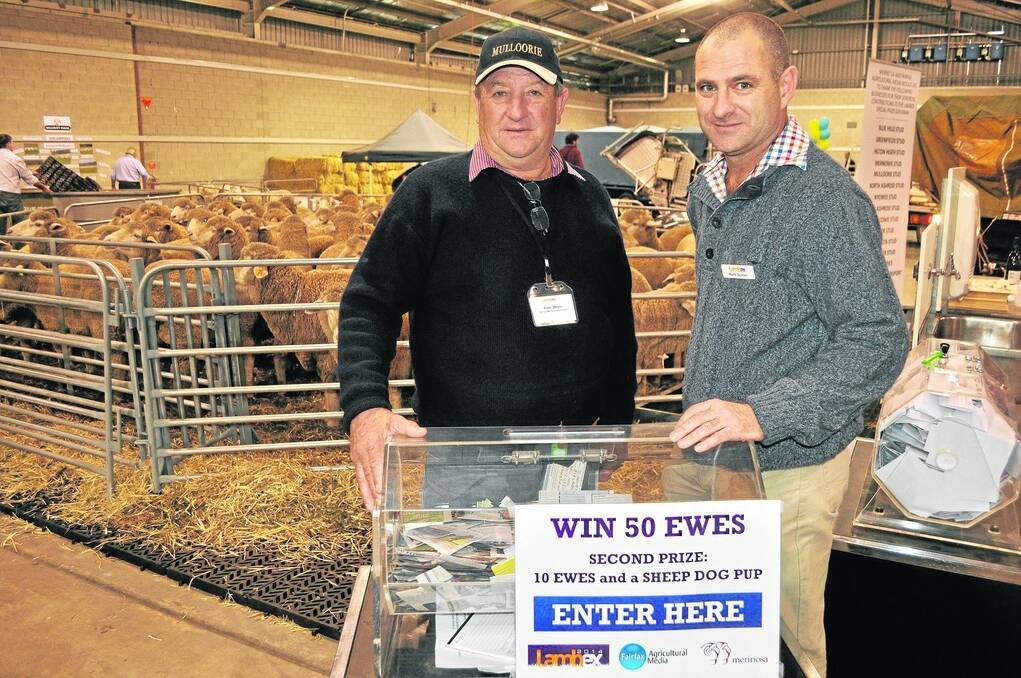 PRIZE DRAW: Merino SA president Peter Meyer and Stock Journal stud stock manager Mark Scown with some of the more than 4000 entries for the Merino ewe competition which was drawn at the conclusion of LambEx last week.