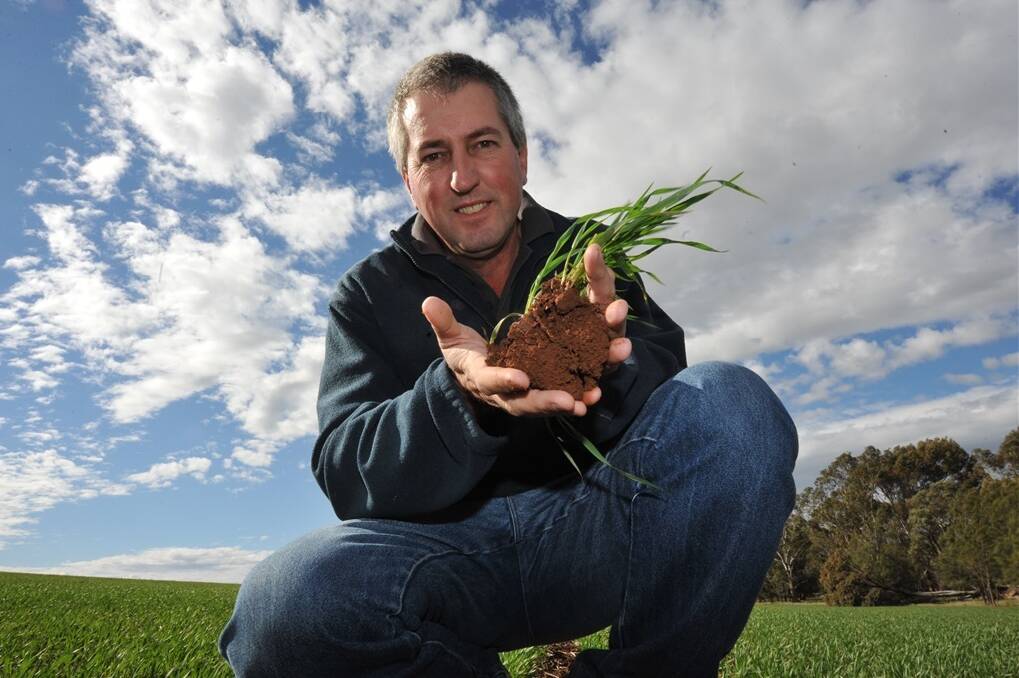 OWN RULES: Agronomist Craig Wissell checks the soil of a Phantom wheat crop. While helping out at his wife's fifth-generation family farm at Ardrossan in 2004, Craig discovered that the land was depleted in sulfur and decided to change the course of its fertiliser history.