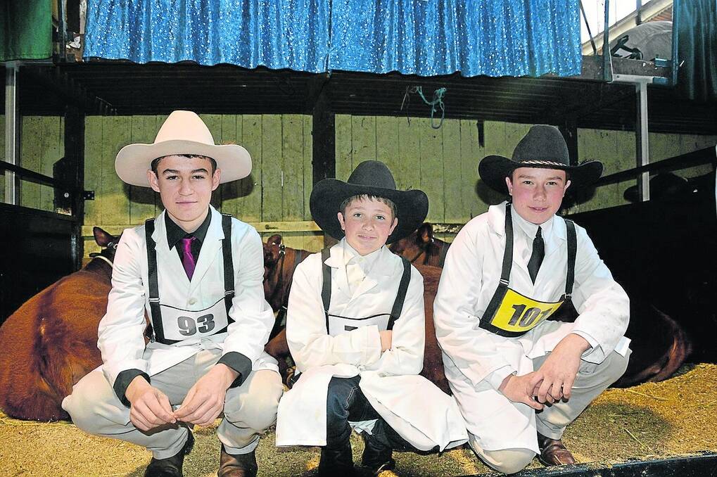 BIG LEARNING: Jason Colgan, Jack Febey and Daman Sims, all from Sheffield, Tas, say they will take a wealth of knowledge from the SA Junior Heifer Expo.