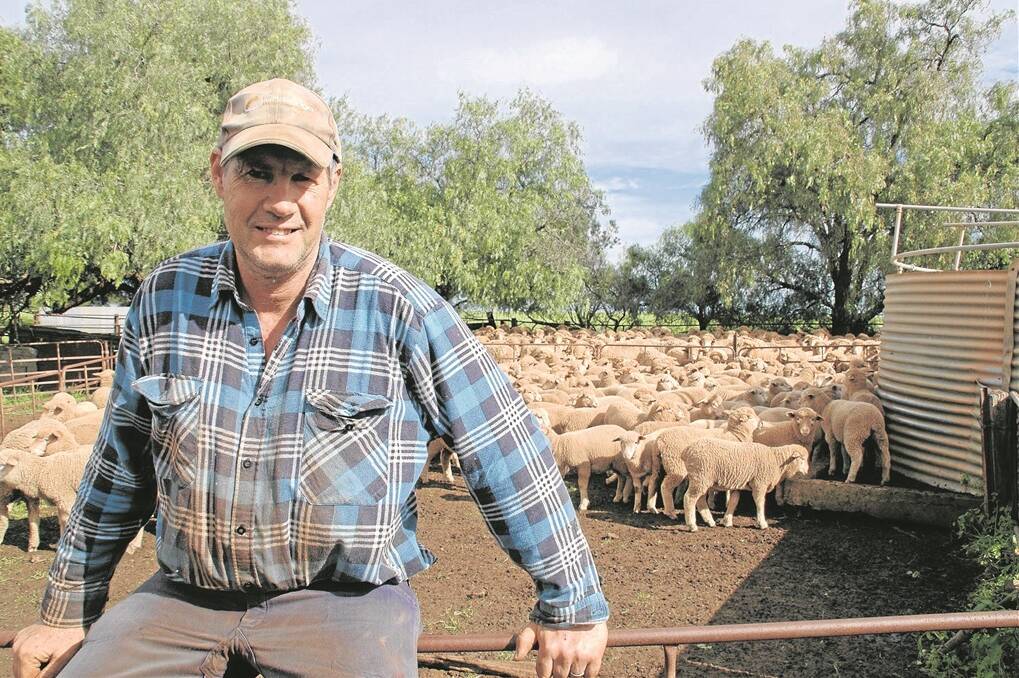 MORE LAMBS: SA farmer Colin Black says the transition from Merino to Dohne rams has seen a 20pc increase in lambing rates.