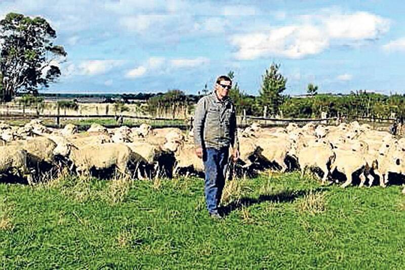 STRONG POINTS: Sovereign Hill Pastoral manager Peter Rooney says the difference between a Dohne and a crossbred is the wool. He says they have “greater value”.