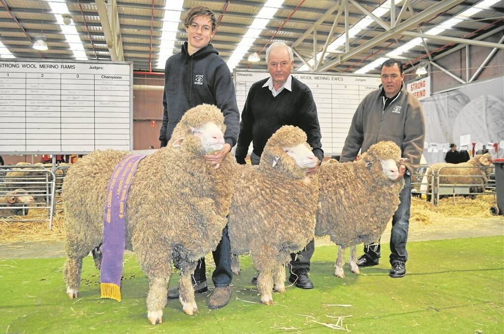 WINNING TRIO: Nyowee stud, Balaklava, won the Millear Trophy for the Best Group of Three Poll Merino sheep from 14 entries. Pictured holding the ram and two ewes are three generations of the Michael family - Jake, Barrie and Ian. 